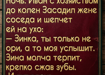 За окном что-то глухо ударило в ставню.