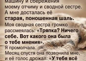 Телефон зазвонил поздним вечером.