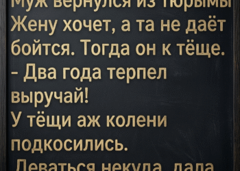 Она не сказала ни слова.